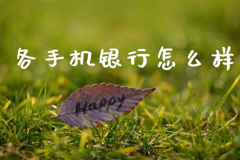 各手机银行怎么样_https://wap.15771688.com_国际期货_第1张