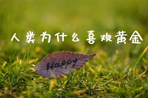 人类为什么喜欢黄金_https://wap.15771688.com_期货手续费一览表_第1张
