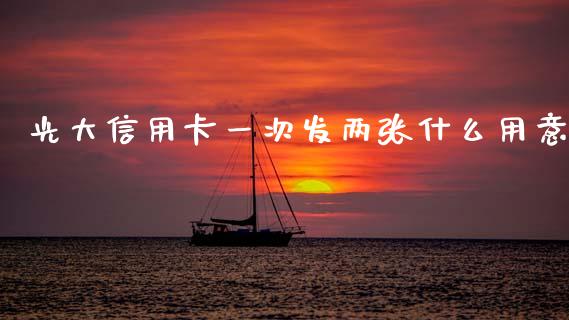 光大信用卡一次发两张什么用意_https://wap.15771688.com_国际期货_第1张