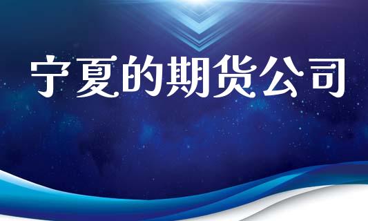 宁夏的期货公司_https://wap.15771688.com_期货手续费一览表_第1张
