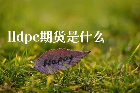lldpe期货是什么_道指期货_第1张_原油期货直播室_道指期_期货手续费一览表_国际期货 lldpe期货是什么_https://wap.15771688.com_道指期货_第1张
