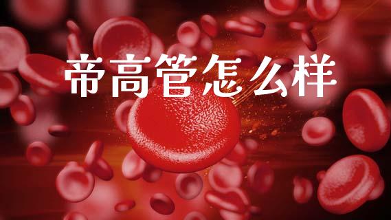 帝高管怎么样_期货手续费一览表_第1张_原油期货直播室_道指期_期货手续费一览表_国际期货 帝高管怎么样_https://wap.15771688.com_期货手续费一览表_第1张