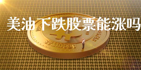 美油下跌股票能涨吗_https://wap.15771688.com_原油期货直播室_第1张