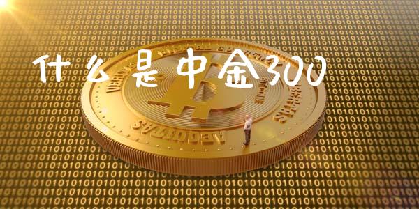 什么是中金300_https://wap.15771688.com_原油期货直播室_第1张
