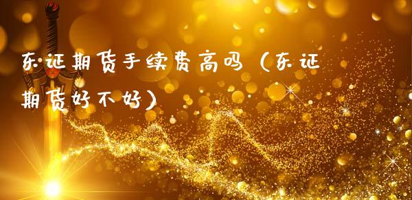 东证期货手续费高吗（东证期货好不好）_https://wap.15771688.com_道指期货_第1张