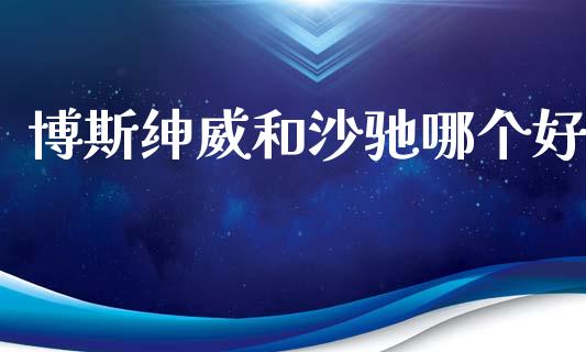 博斯绅威和沙驰哪个好_https://wap.15771688.com_原油期货直播室_第1张