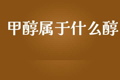 甲醇属于什么醇_https://wap.15771688.com_道指期货_第1张