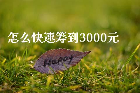 怎么快速筹到3000元_https://wap.15771688.com_期货手续费一览表_第1张