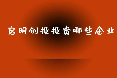 启明创投投资哪些企业_https://wap.15771688.com_期货手续费一览表_第1张