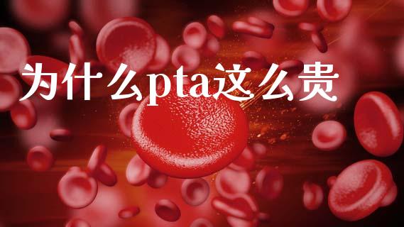 为什么pta这么贵_https://wap.15771688.com_道指期货_第1张