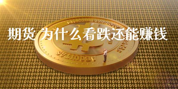 期货 为什么看跌还能赚钱_https://wap.15771688.com_期货手续费一览表_第1张
