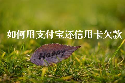 如何用支付宝还信用卡欠款_https://wap.15771688.com_期货手续费一览表_第1张