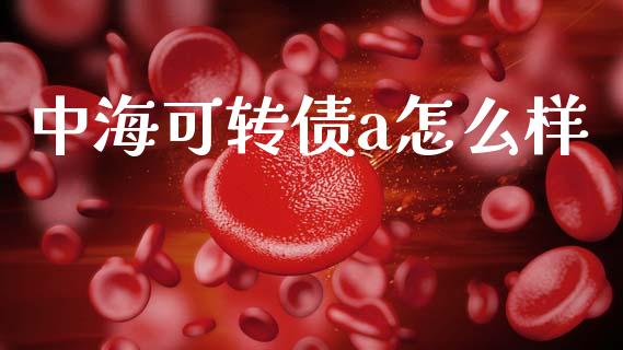 中海可转债a怎么样_https://wap.15771688.com_国际期货_第1张