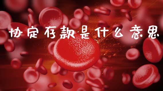 协定存款是什么意思_https://wap.15771688.com_道指期货_第1张