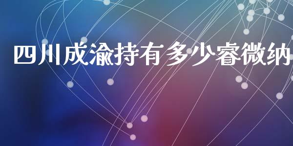 四川成渝持有多少睿微纳_https://wap.15771688.com_期货手续费一览表_第1张