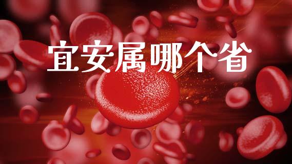 宜安属哪个省_https://wap.15771688.com_国际期货_第1张