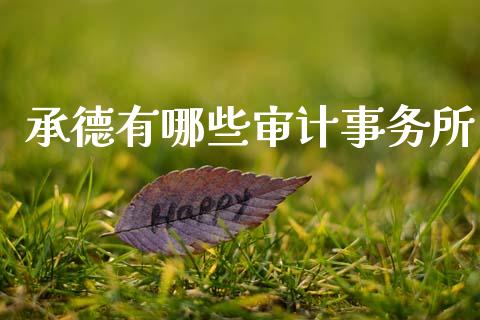 承德有哪些审计事务所_https://wap.15771688.com_道指期货_第1张