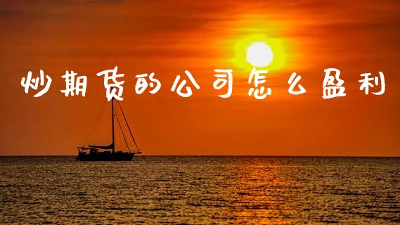 炒期货的公司怎么盈利_https://wap.15771688.com_道指期货_第1张