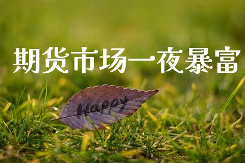期货市场一夜暴富_https://wap.15771688.com_期货手续费一览表_第1张