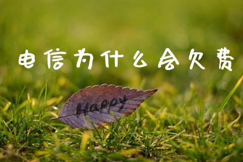 电信为什么会欠费_https://wap.15771688.com_期货手续费一览表_第1张