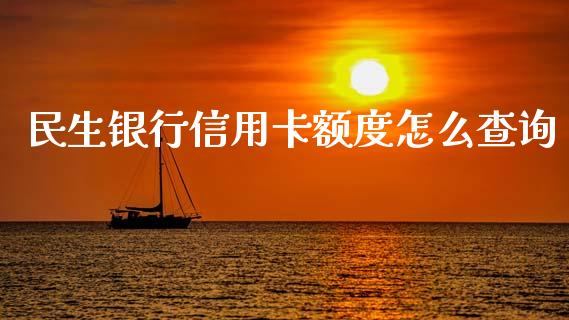 民生银行信用卡额度怎么查询_https://wap.15771688.com_期货手续费一览表_第1张