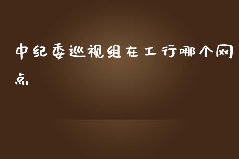 中纪委巡视组在工行哪个网点_https://wap.15771688.com_原油期货直播室_第1张