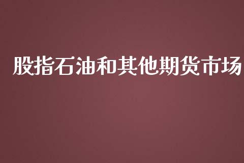 股指石油和其他期货市场_https://wap.15771688.com_期货手续费一览表_第1张