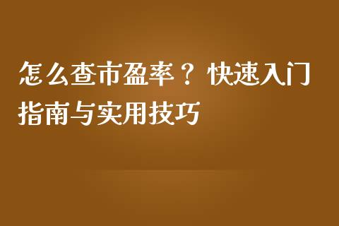 怎么查市盈率？ 快速入门指南与实用技巧_https://wap.15771688.com_期货手续费一览表_第1张