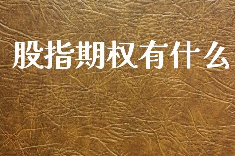 股指期权有什么_https://wap.15771688.com_国际期货_第1张