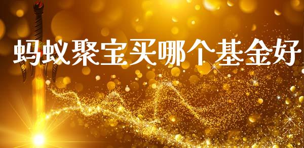 蚂蚁聚宝买哪个基金好_https://wap.15771688.com_道指期货_第1张