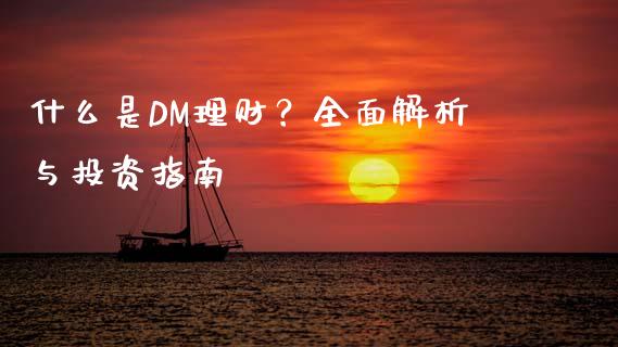 什么是DM理财？全面解析与投资指南_https://wap.15771688.com_期货手续费一览表_第1张