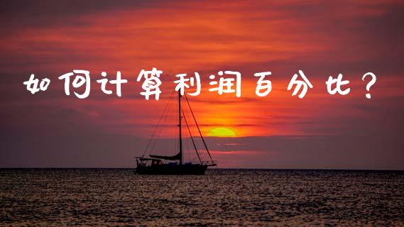 如何计算利润百分比？_https://wap.15771688.com_原油期货直播室_第1张