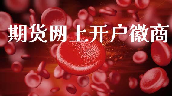 期货网上开户徽商_https://wap.15771688.com_道指期货_第1张