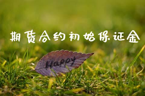 期货合约初始保证金_https://wap.15771688.com_道指期货_第1张