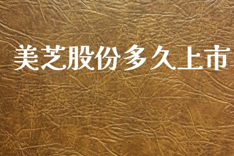 美芝股份多久上市_https://wap.15771688.com_道指期货_第1张