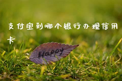 支付宝到哪个银行办理信用卡_https://wap.15771688.com_道指期货_第1张