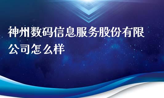神州数码信息服务股份有限公司怎么样_https://wap.15771688.com_原油期货直播室_第1张