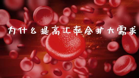 为什么提高汇率会扩大需求_https://wap.15771688.com_期货手续费一览表_第1张