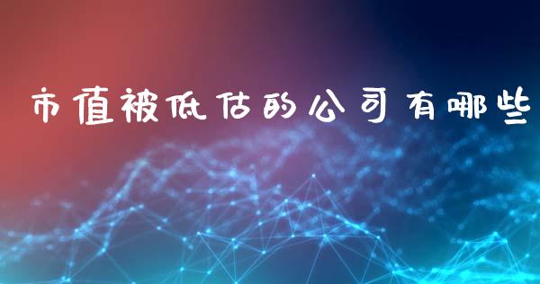 市值被低估的公司有哪些_https://wap.15771688.com_道指期货_第1张