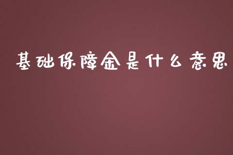 基础保障金是什么意思_https://wap.15771688.com_期货手续费一览表_第1张