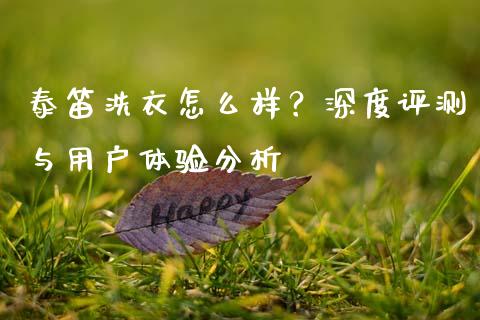 泰笛洗衣怎么样？深度评测与用户体验分析_https://wap.15771688.com_国际期货_第1张