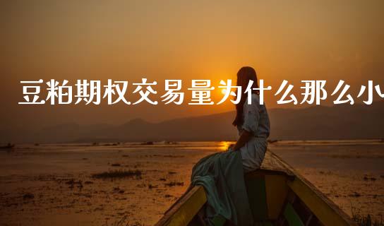 豆粕期权交易量为什么那么小_https://wap.15771688.com_期货手续费一览表_第1张