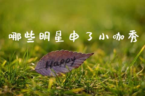 哪些明星申了小咖秀_https://wap.15771688.com_期货手续费一览表_第1张