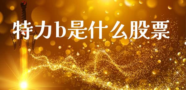 特力b是什么股票_https://wap.15771688.com_道指期货_第1张