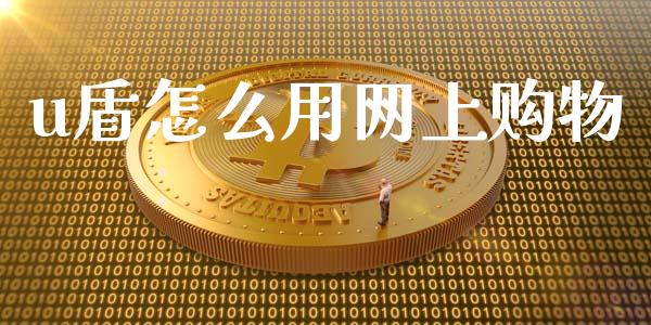 u盾怎么用网上购物_https://wap.15771688.com_国际期货_第1张