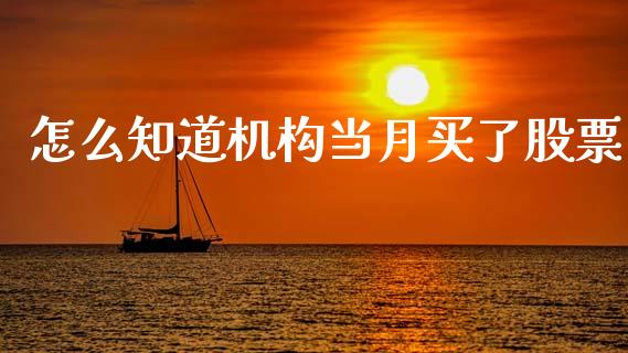 怎么知道机构当月买了股票_https://wap.15771688.com_原油期货直播室_第1张