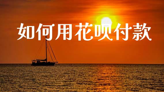 如何用花呗付款_https://wap.15771688.com_国际期货_第1张