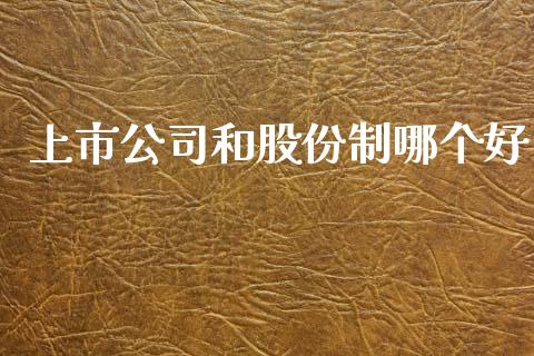 上市公司和股份制哪个好_https://wap.15771688.com_道指期货_第1张