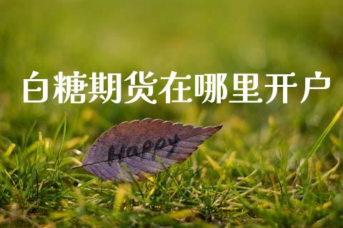 白糖期货在哪里开户_https://wap.15771688.com_国际期货_第1张