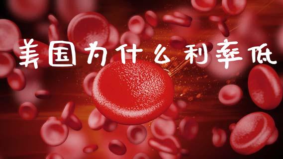 美国为什么利率低_https://wap.15771688.com_道指期货_第1张